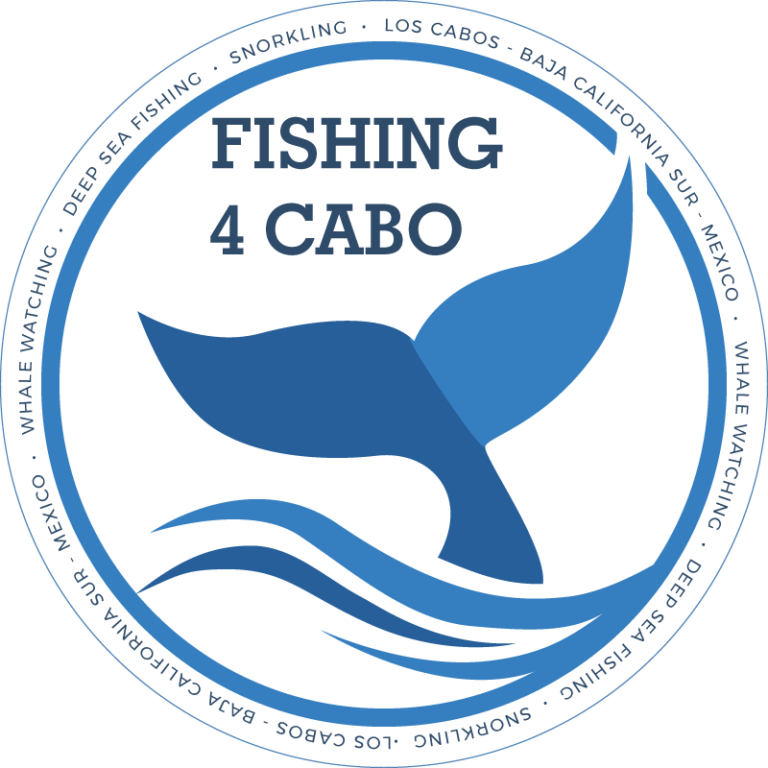 Fishing 4 Cabo